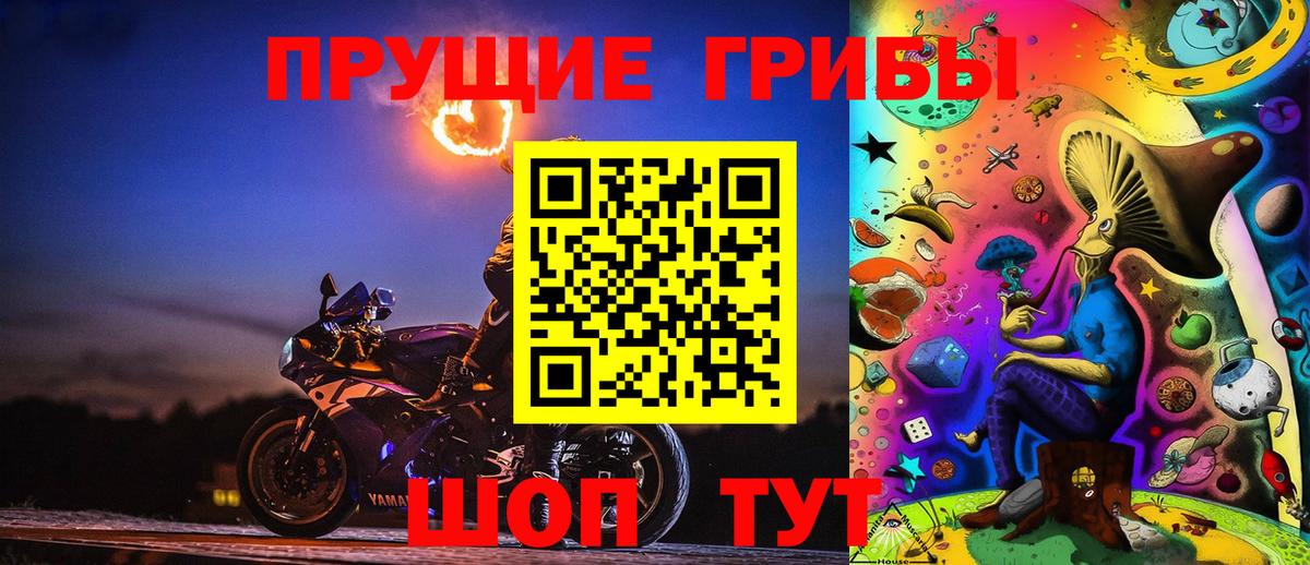 Псилоцибиновые грибы Psilocybe Ипатово
